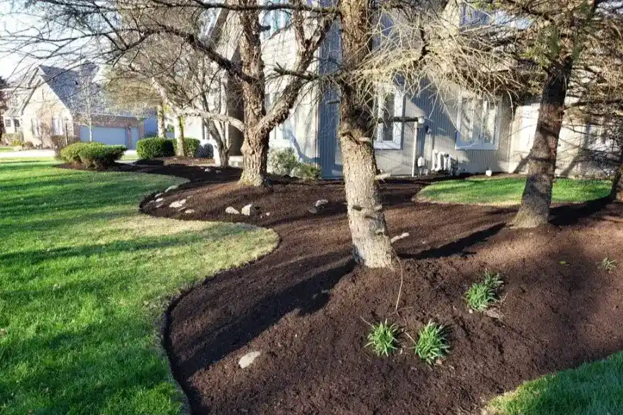 Landscape Services