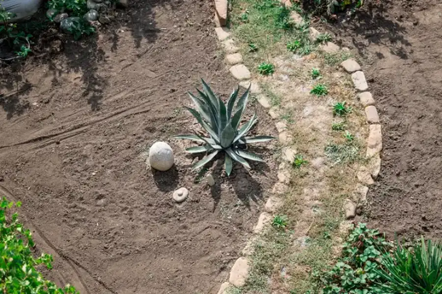 Common Mistakes To Avoid In Landscape Installation Projects Willimantic, CT
