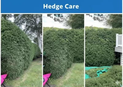 Expert Landscape Company