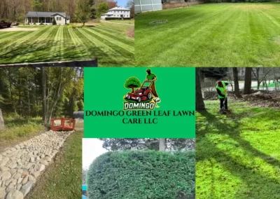 Outstanding Landscape Company