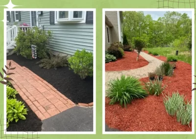 Professional Landscape Company
